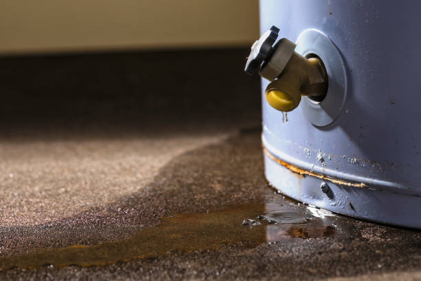 Best Ceiling water damage repair  in Auburn, NE