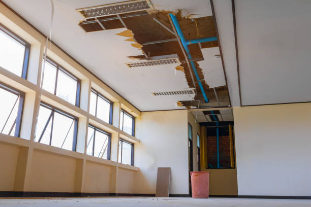 Best Water damage restoration near me  in Auburn, NE
