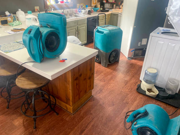 Best 24-hour water damage restoration  in Auburn, NE