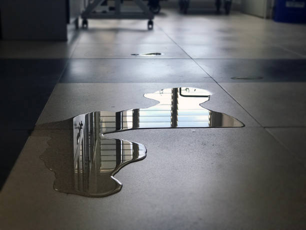 Best Commercial water damage restoration  in Auburn, NE