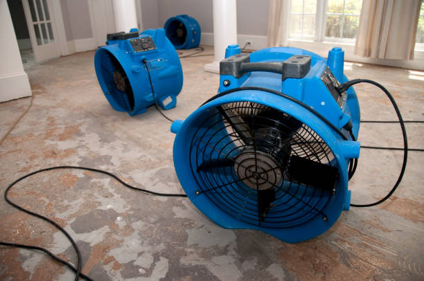 Best Water damage restoration near me  in Auburn, NE